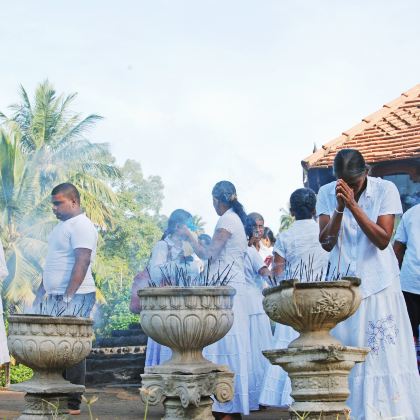 斯里兰卡7日跟团游 斯里兰卡7日跟团游