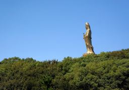 travel picture