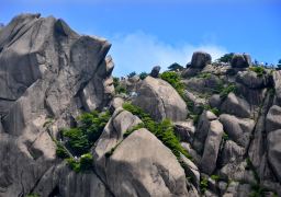 travel picture
