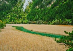travel picture
