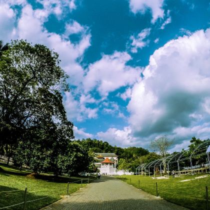 斯里兰卡9日7晚跟团游 斯里兰卡9日7晚跟团游