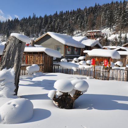 哈尔滨+亚布力滑雪旅游度假区+雪乡3日2晚跟团游