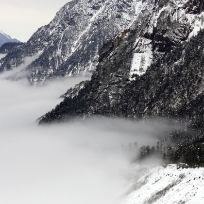 峨眉山+乐山大佛+都江堰景区+青城山5日4晚私家团