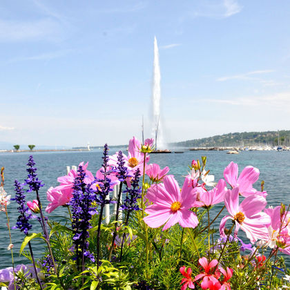 瑞士日内瓦日内瓦湖+万国宫+大喷泉+圣彼得大教堂+花钟一日游