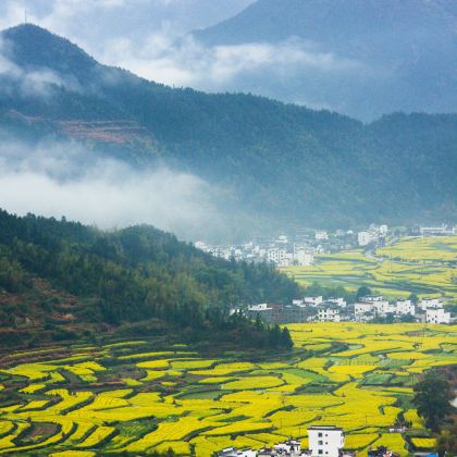 黄山风景区+西递+宏村+婺源篁岭+徽州古城+新安江7日6晚跟团游