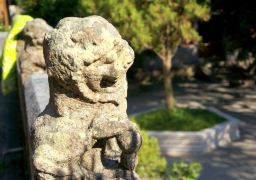 travel picture