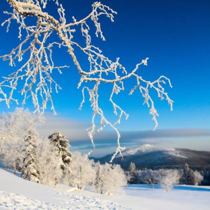 哈尔滨+雪乡+漠河+抚远9日8晚私家团 哈尔滨+雪乡+漠河+抚远9日8晚私家团