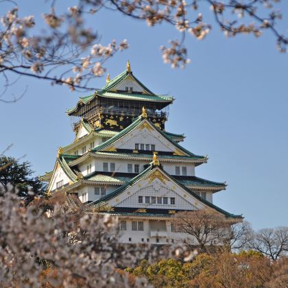 日本大阪+京都+奈良+白川乡+神户8日7晚半自助游