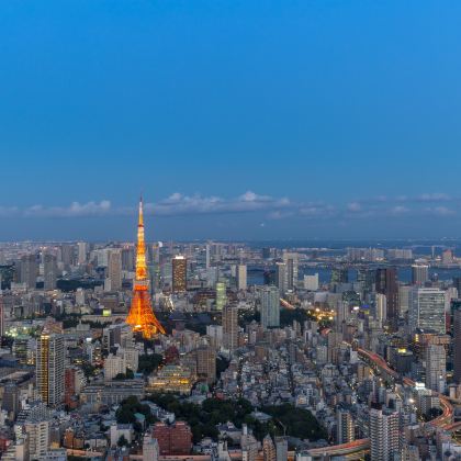 日本东京+大阪6日私家团 日本东京+大阪6日私家团