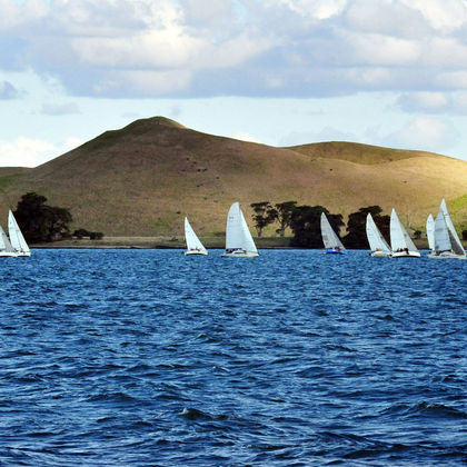 新西兰奥克兰奥克兰美洲杯帆船体验+教会湾+怀希基岛一日游