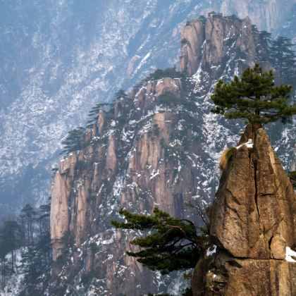 黄山风景区+宏村3日2晚跟团游 黄山风景区+宏村3日2晚跟团游