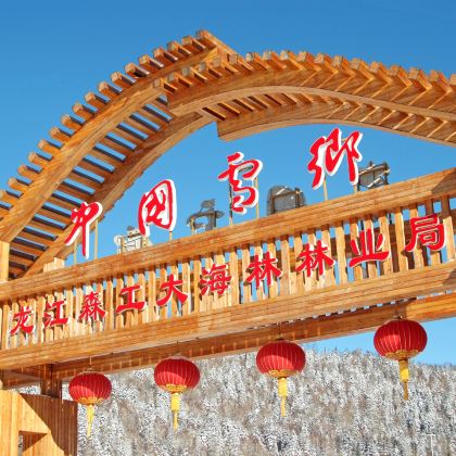 哈尔滨+雪乡+漠河+抚远9日8晚私家团 哈尔滨+雪乡+漠河+抚远9日8晚私家团