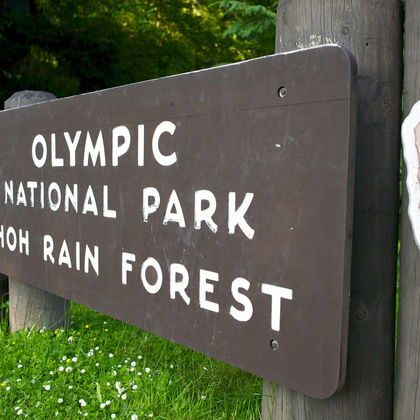 美国西雅图奥林匹克国家公园一日游