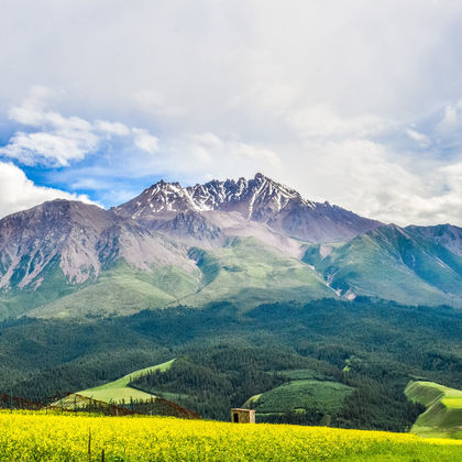 青海+祁连大草原+卓尔山+岗什卡雪峰景区一日游