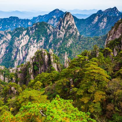 黄山+西递+宏村+婺源篁岭5日4晚跟团游