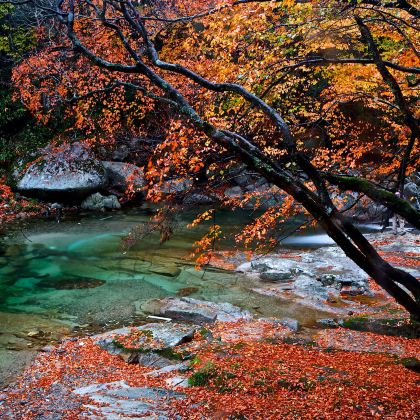 光雾山旅游景区+米仓山国家森林公园+剑门关+阆中古城4日3晚私家团 光雾山旅游景区+米仓山国家森林公园+剑门关+阆中古城4日3晚私家团