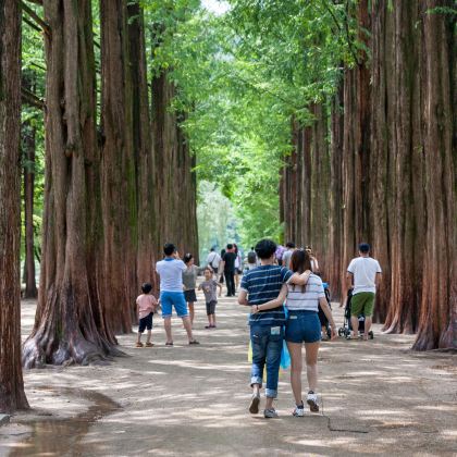 韩国首尔+南怡岛4日3晚私家团 韩国首尔+南怡岛4日3晚私家团