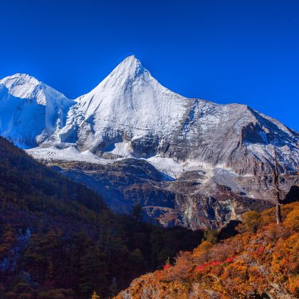 成都+稻城亚丁+九寨沟风景区+黄龙风景名胜区11日10晚跟团游