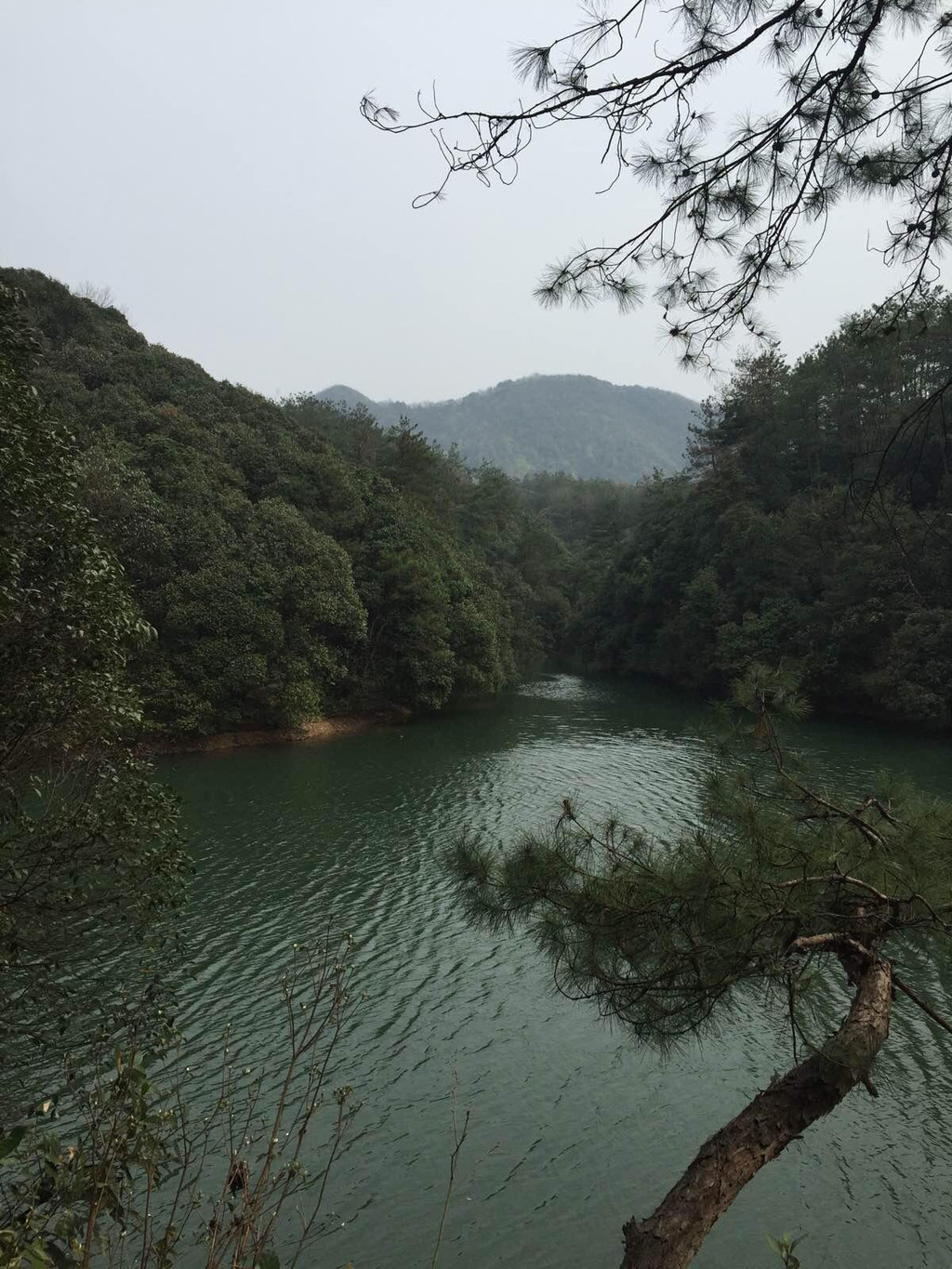 安徽芜湖南陵小格里森林公园