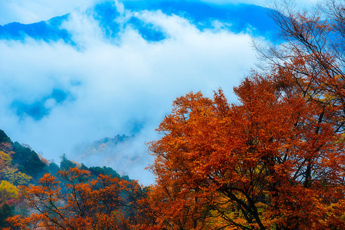 【四川光雾山】秋色尽染雾满山(图组/57p)