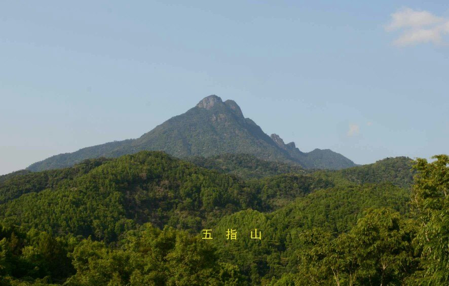 五指山之歌