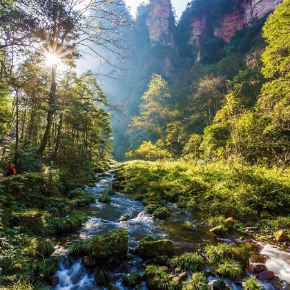 湖南长沙+韶山+岳阳楼+张家界+湘西+张家界国家森林公园+天门山国家森林公园8日7晚私家团