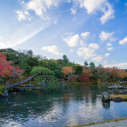 日本9日8晚半自助游