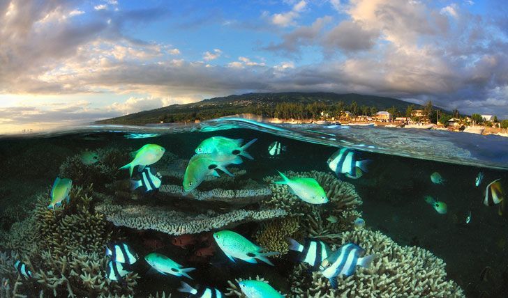 留尼汪岛11日跟团游(4钻)·细嗅香草\/冰斗探险