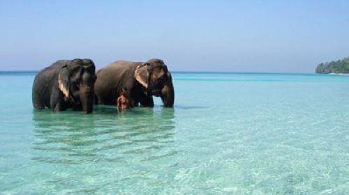 曼谷+芭堤雅+象岛6日跟团游·品质推荐\/贵阳直