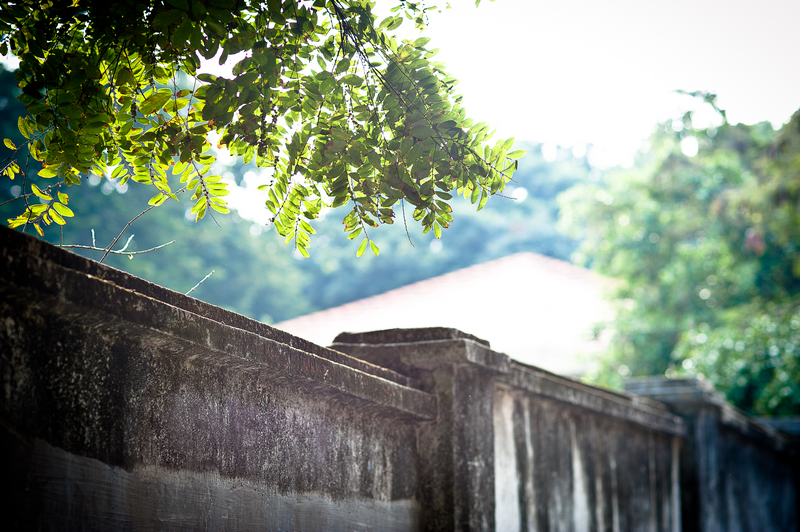鼓浪屿旅游线路攻略_南京到鼓浪屿自助游_自
