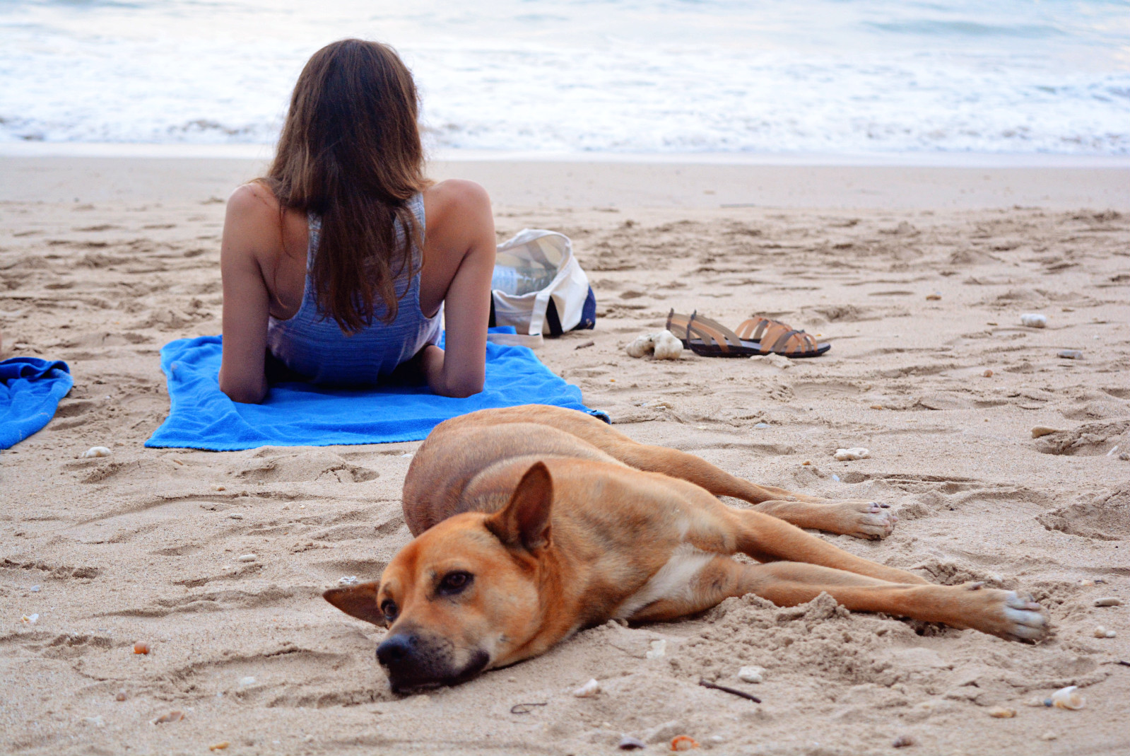【携程攻略】上海到泰国旅游报价,上海到泰国