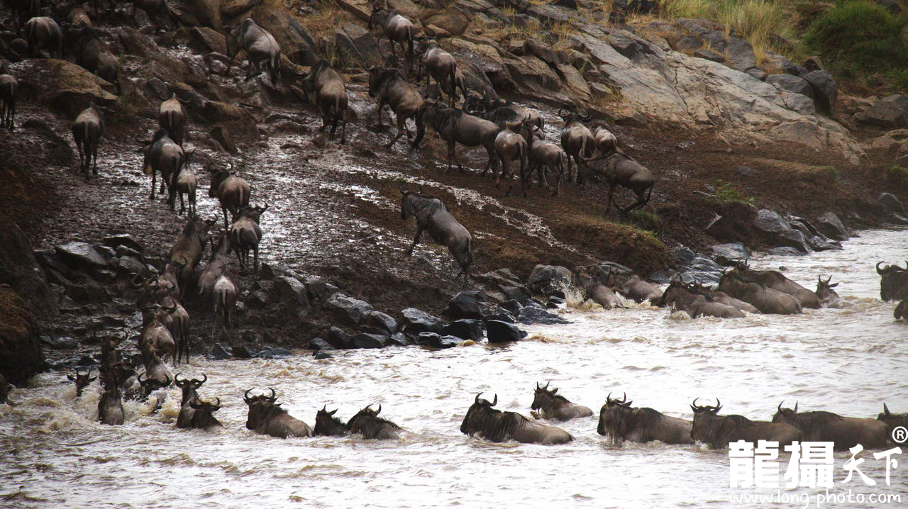 【携程攻略】上海到坦桑尼亚旅游报价,上海到