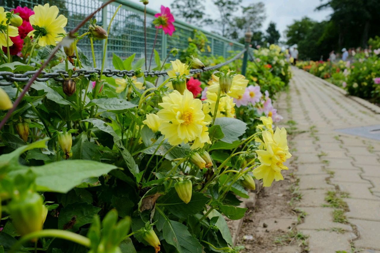 【携程攻略】杭州到泰国旅游报价,杭州到泰国