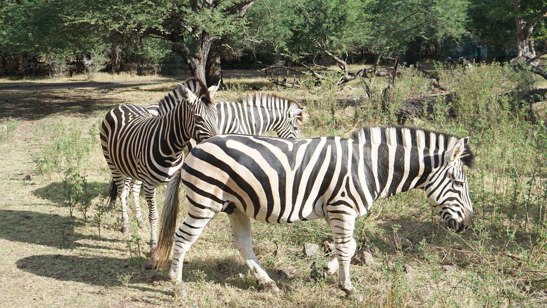 毛里求斯旅游怎么样,毛里求斯旅游好玩吗