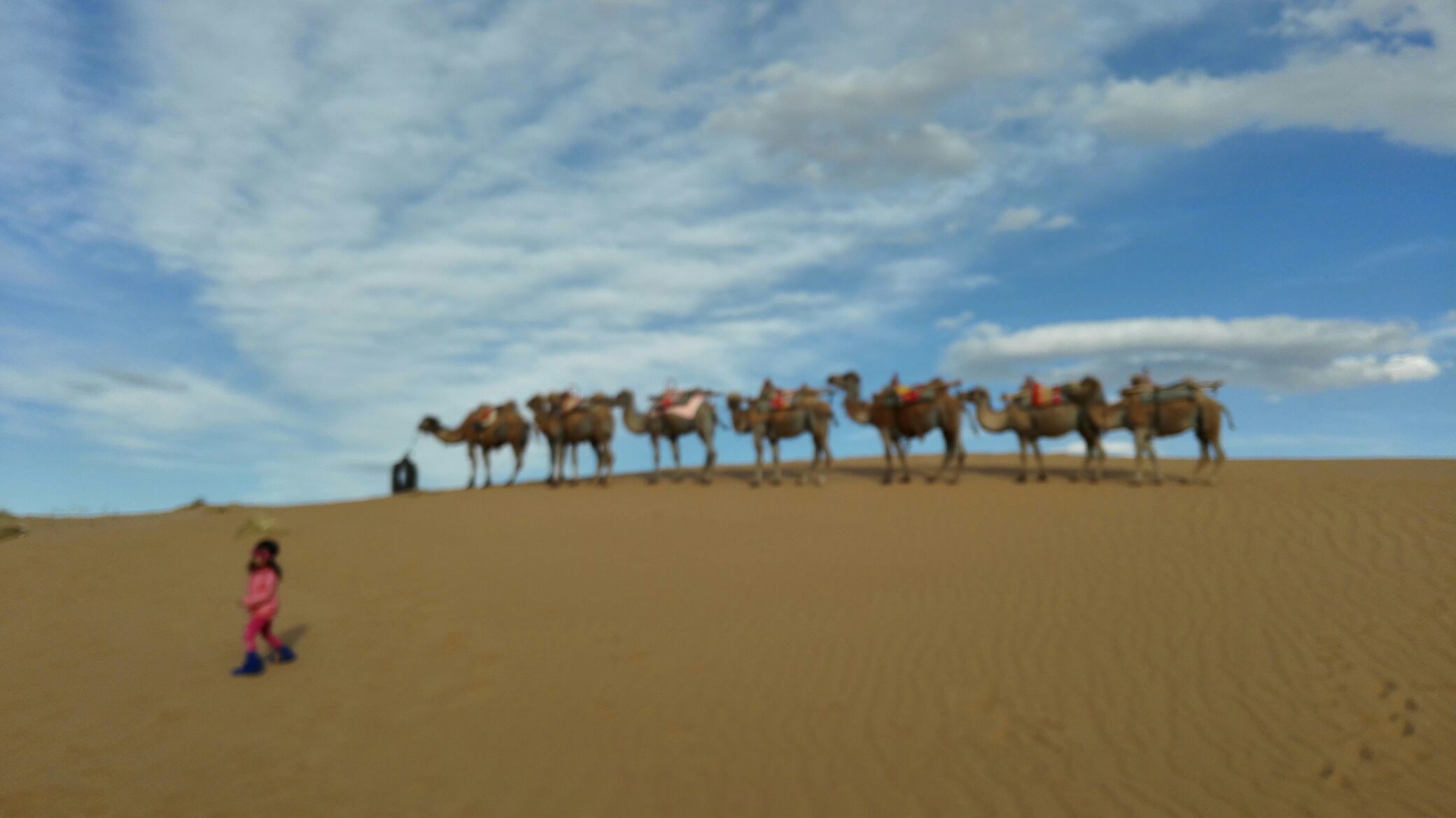 银川旅游怎么样,银川旅游好玩吗【携程旅游】