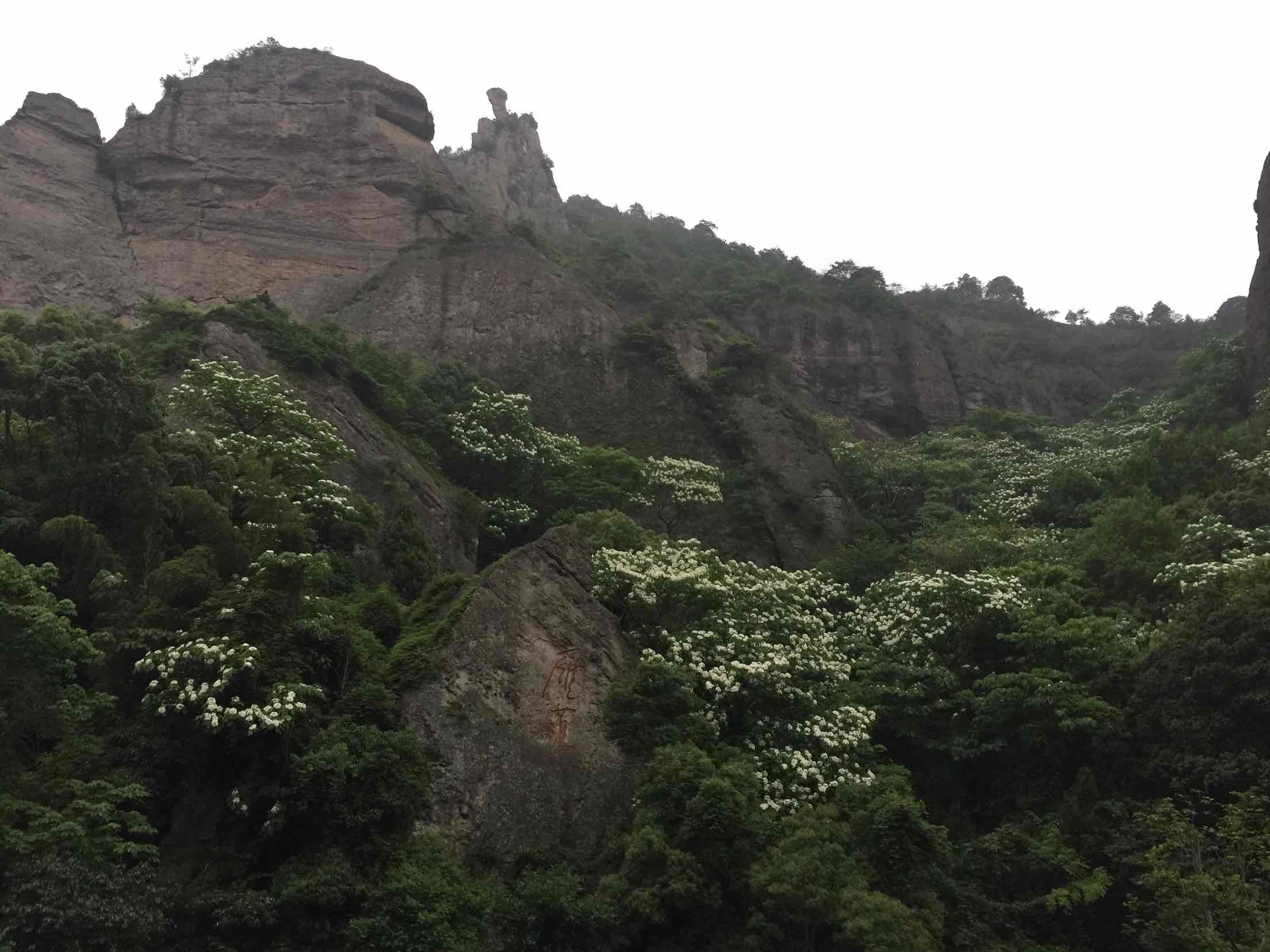 雁荡山旅游怎么样,雁荡山旅游好玩吗