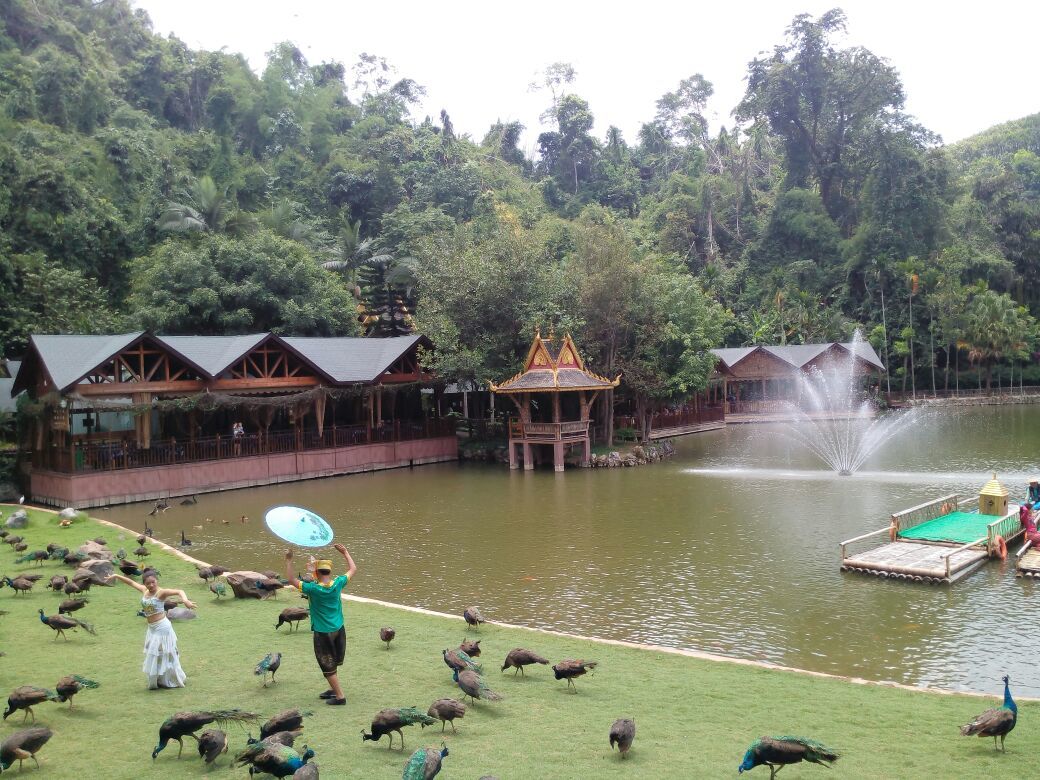 西双版纳旅游怎么样,西双版纳旅游好玩吗