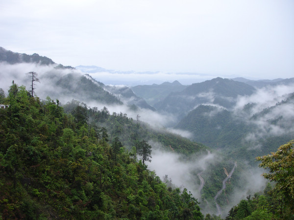 韶关 乳源2日1晚跟团游(4钻)·元旦大促 生态南岭 林庄温泉 赠南岭小