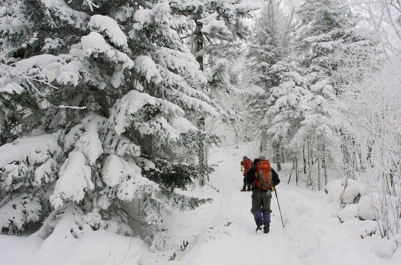 长白山旅游线路攻略_上海到长白山自助游_自