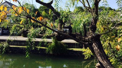 日本冈山县+大阪+京都+富士山+东京7日5晚半