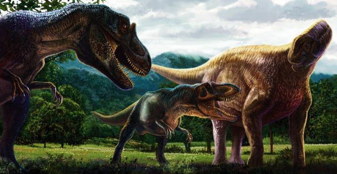 制作美丽琥珀 探究古老生物