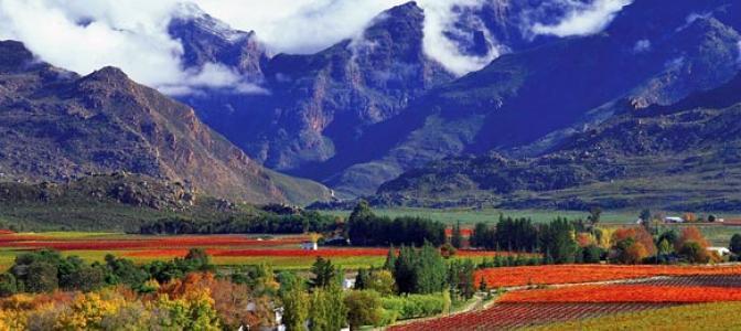 美食之旅·南非开普敦+约翰内斯堡+比勒陀利