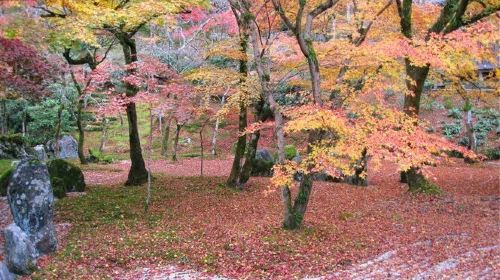 日本福冈4日3晚自由行·含日本签证,日期酒店