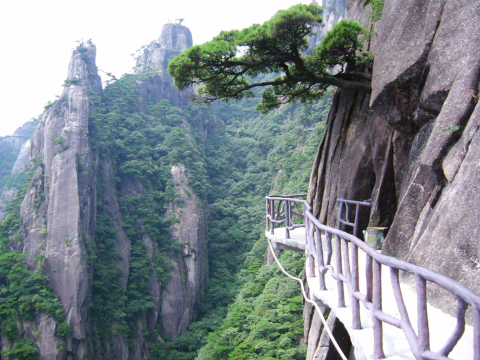 【携程攻略】上海到景德镇旅游报价,上海到景