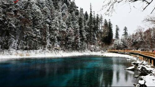 成都+九寨沟+黄龙5日跟团游(2钻)·双飞绵阳进