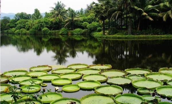 【携程攻略】深圳到西双版纳旅游报价,深圳到