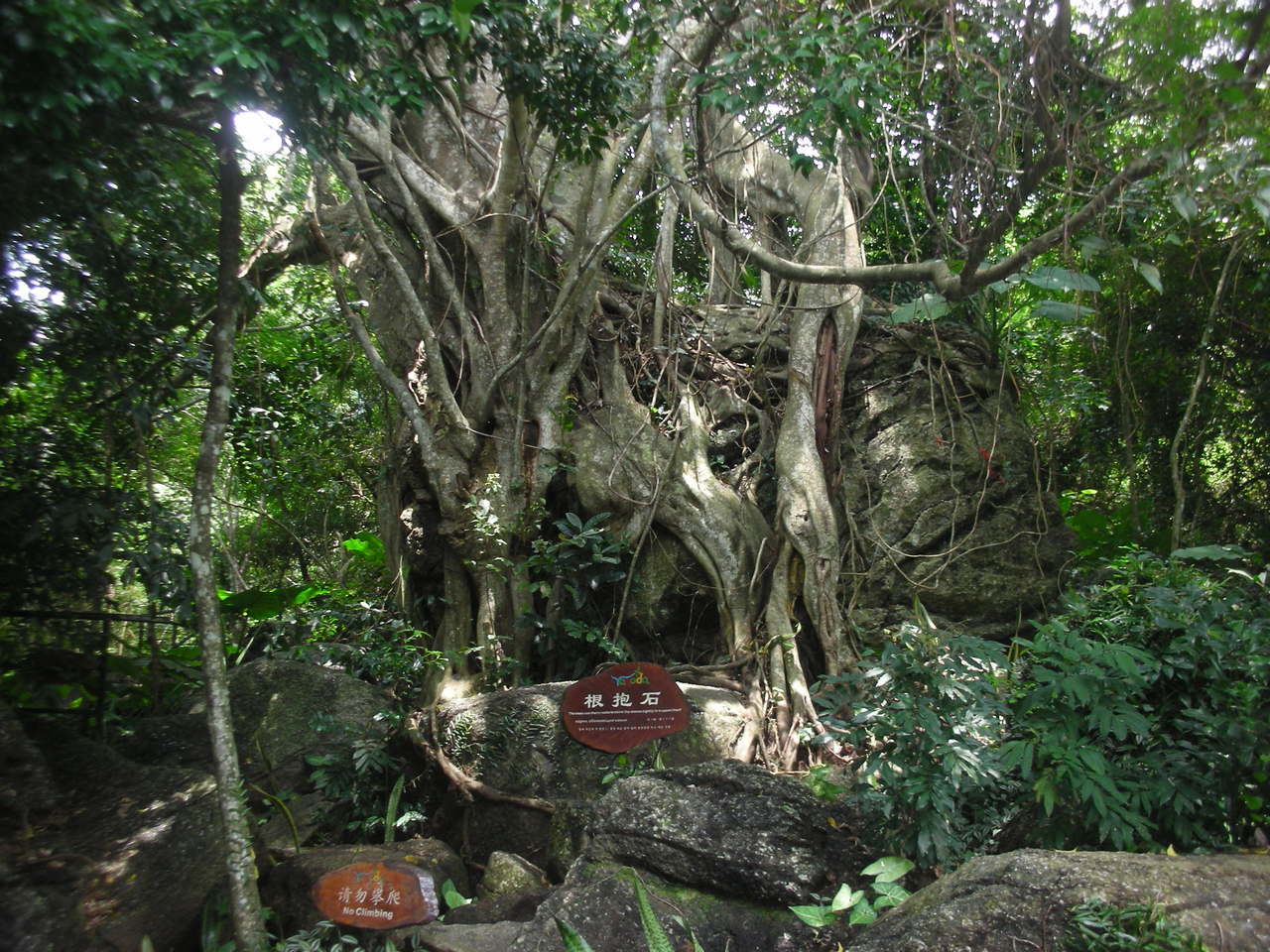 【跑男Running Man 3天2晚】精选海棠湾人气五