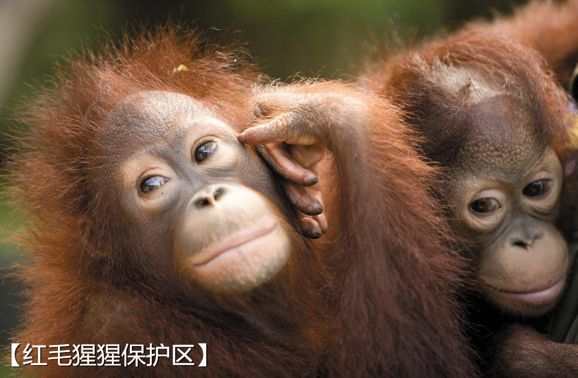 【携程攻略】郑州到沙巴旅游报价,郑州到沙巴