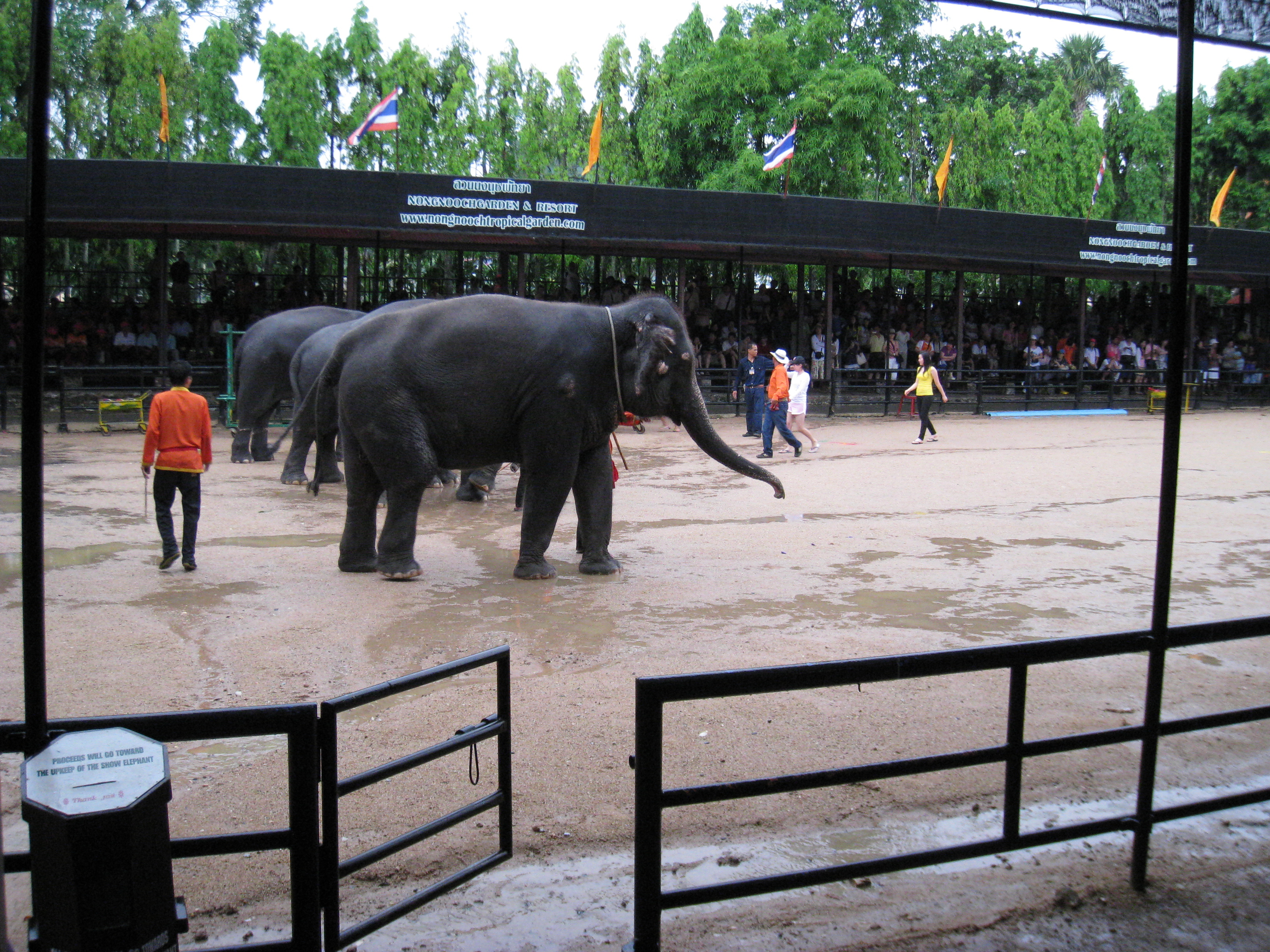 +芭提雅+清迈9日8晚半自助游(4钻)·2人成行\/