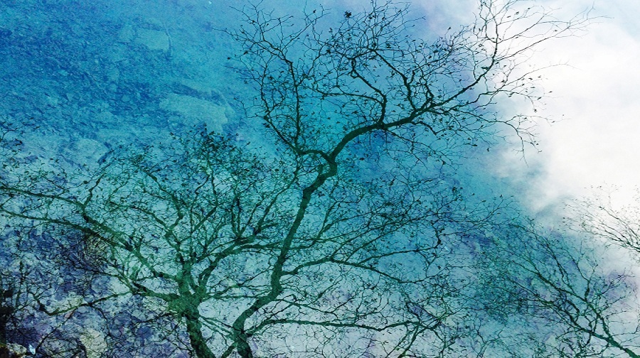 成都旅游线路攻略_上海到成都自助游_自由行